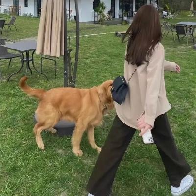 命案目睹记